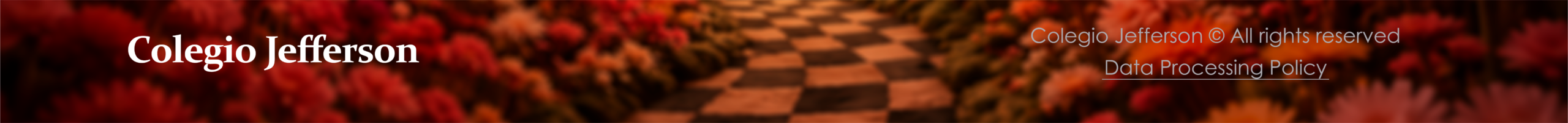 Banner Bajo Alice PAC